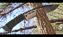 Bushmaster in training