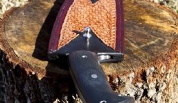 Bushmaster in sheath
